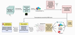  Potential senotherapeutic candidates and their combinations derived from transcriptional connectivity and network measures